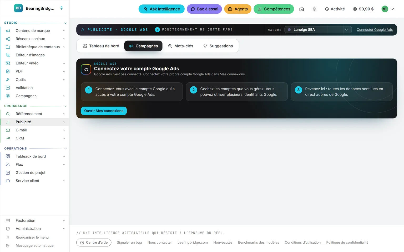 L’onglet Campagnes de Google Ads avant toute connexion : se connecter avec le compte Google qui a accès à votre compte Google Ads, cocher les comptes que vous gérez, puis revenir ; tout est lu en direct chez Google