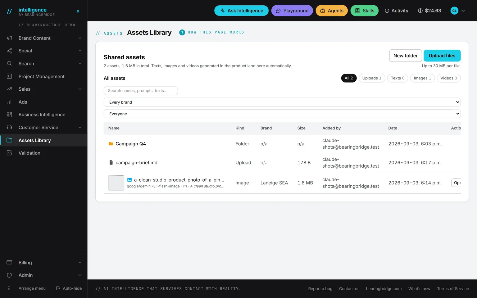 The Assets Library