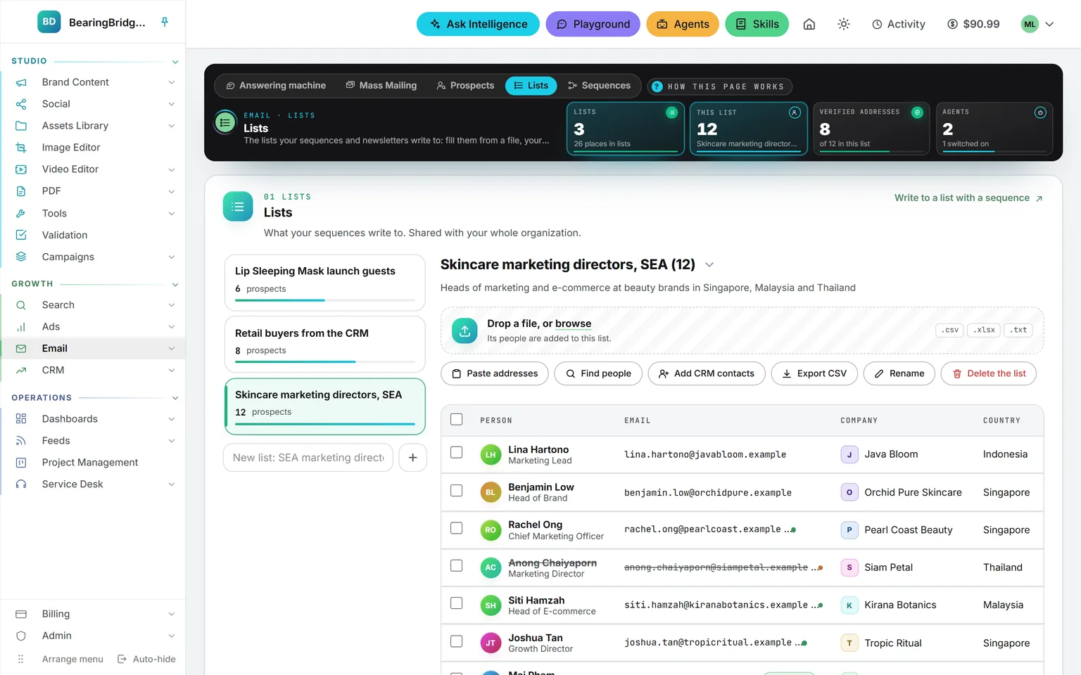 The Lists page: a shelf of three lists, the open list of skincare marketing directors with its file drop zone, its buttons to paste addresses, find people, add CRM contacts or export, and its people with their company and country