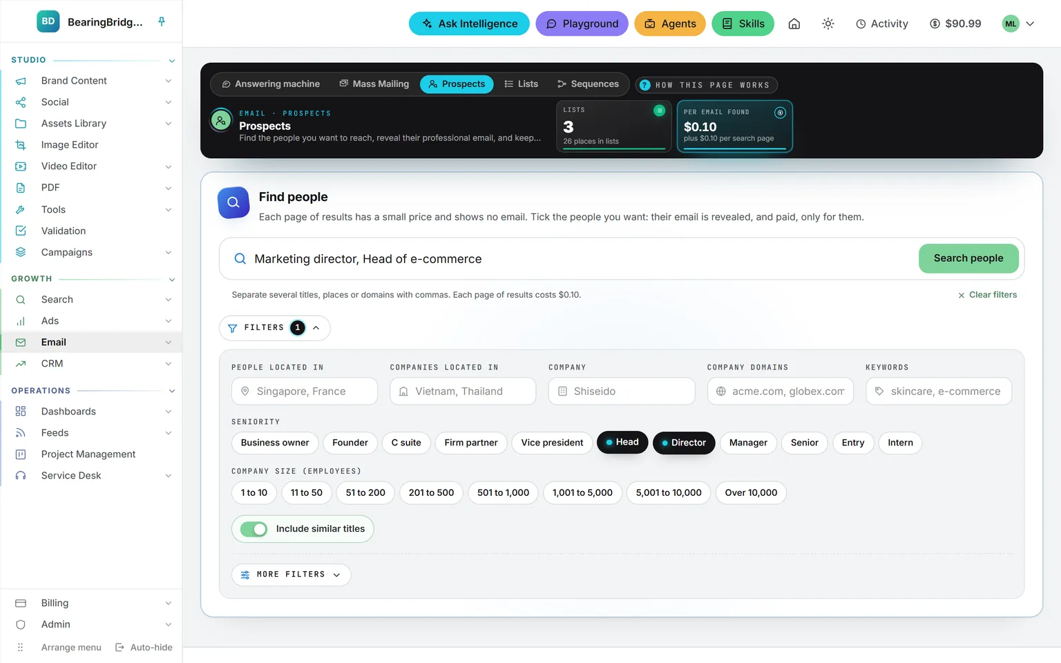 The Filters open under the search bar: where the people and the companies are, company, domains, keywords, seniority with Head and Director picked, and company size