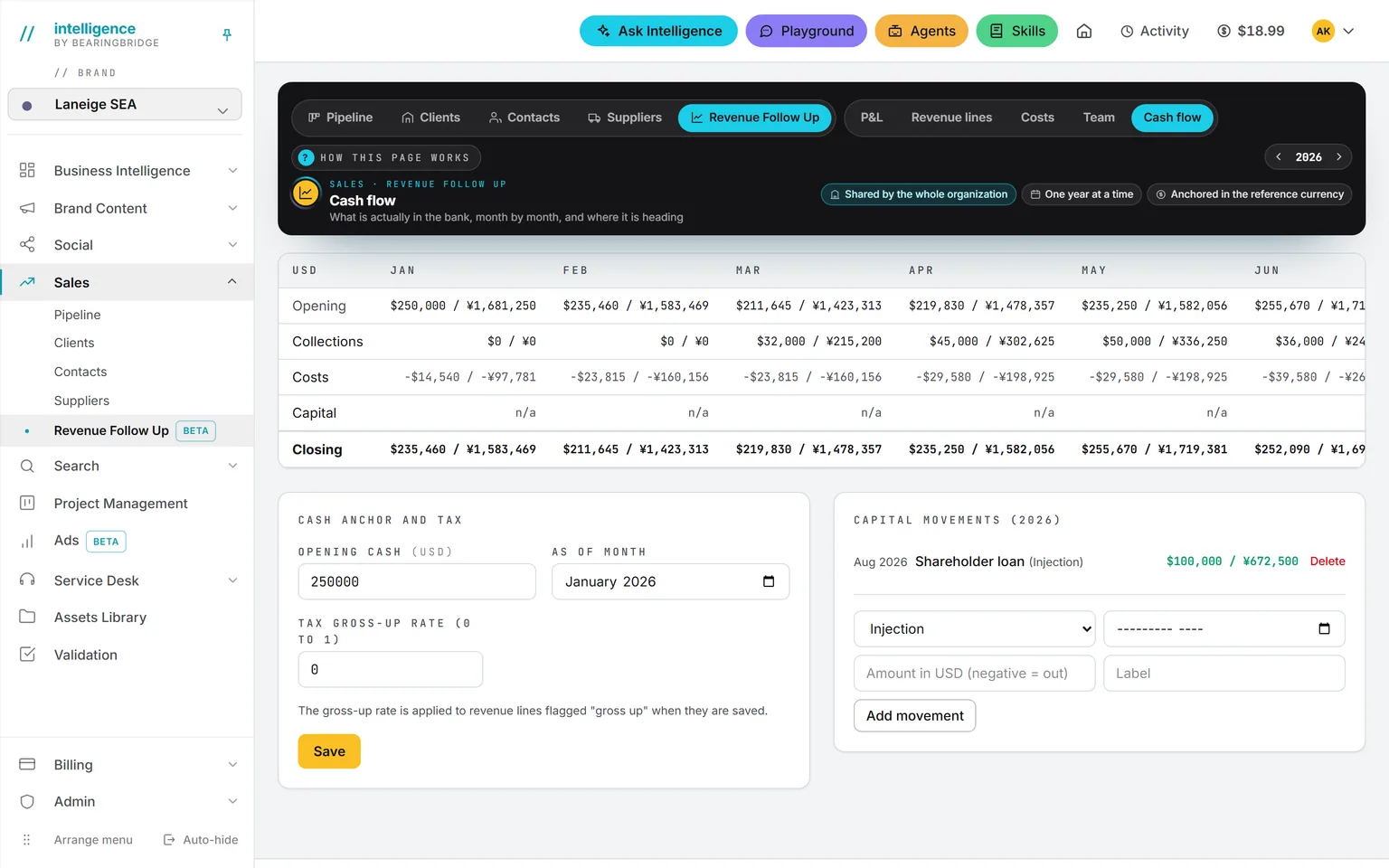 The cash-flow page: opening cash, collections, costs, a capital movement and closing cash per month, with the opening cash anchor set for January