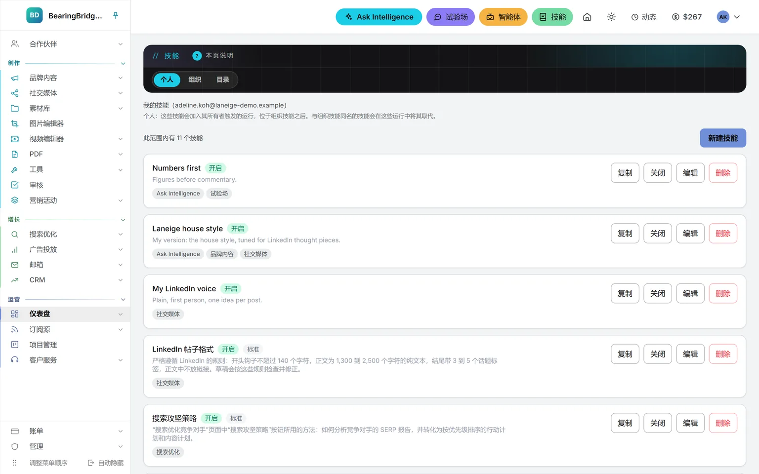 “技能”的“个人”标签页:一位成员的十项技能,从用于 Ask Intelligence 和试验场的 Numbers first,到组织行文规范的个人版、一项 LinkedIn 语调技能,以及两项标准技能的个人副本